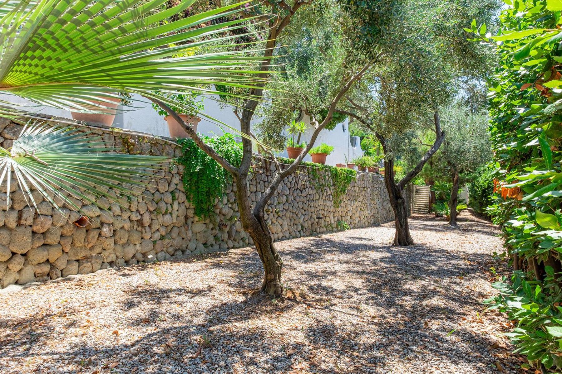 Villa Le Palme Forio  Luaran gambar